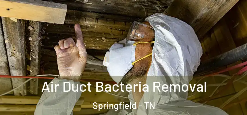 Air Duct Bacteria Removal Springfield - TN