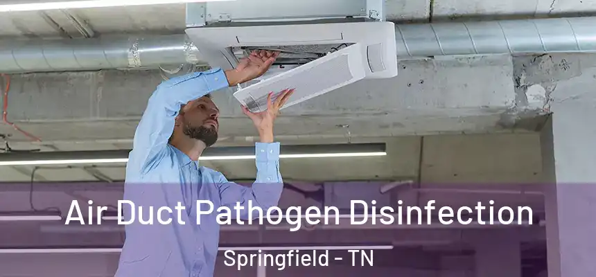  Air Duct Pathogen Disinfection Springfield - TN