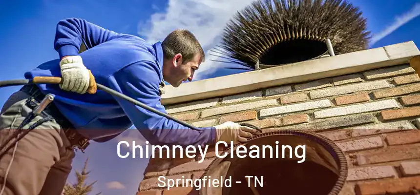 Chimney Cleaning Springfield - TN