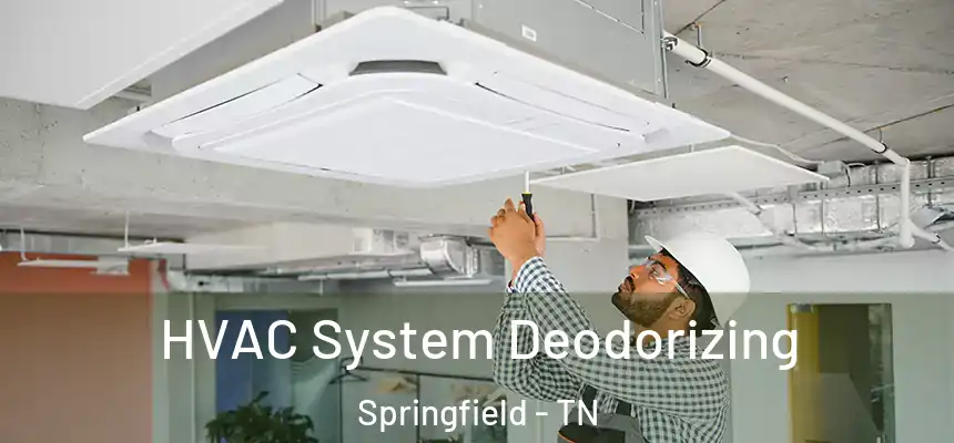  HVAC System Deodorizing Springfield - TN