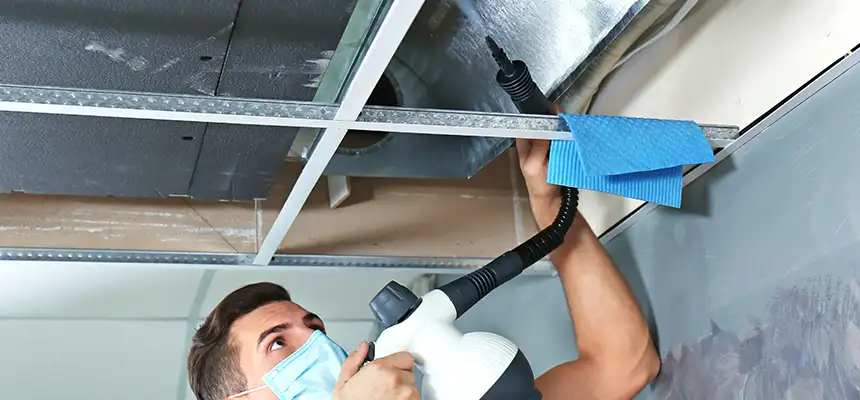 Our Air Duct Rodent Removal Services in Springfield, TN