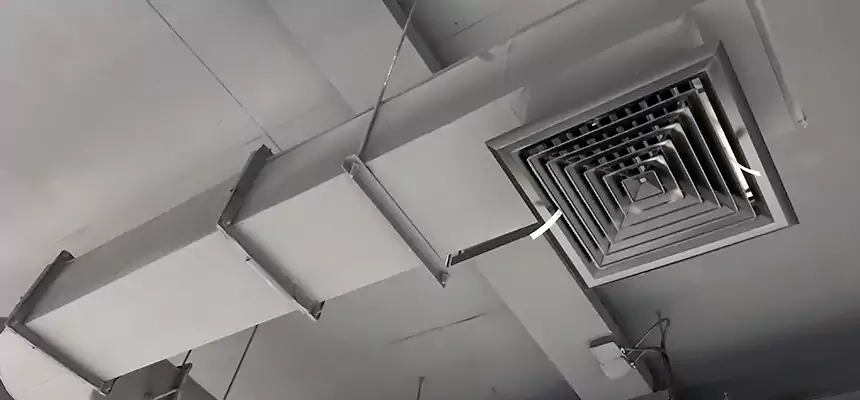 Our Pest Removal From Ducts Services in Springfield, TN