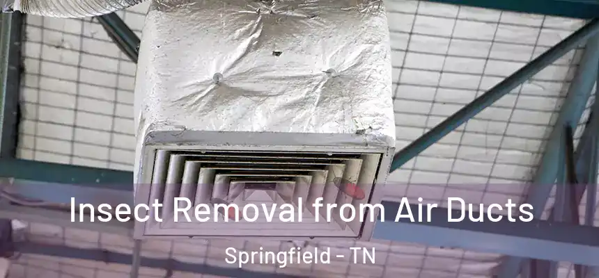  Insect Removal from Air Ducts Springfield - TN