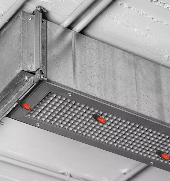 About Air Duct Cockroach Removal in Springfield, TN