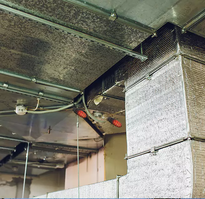 Why Homeowners & Businesses Trust Us in Springfield, TN?